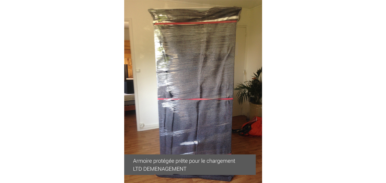 LTD DEMENAGEMENT