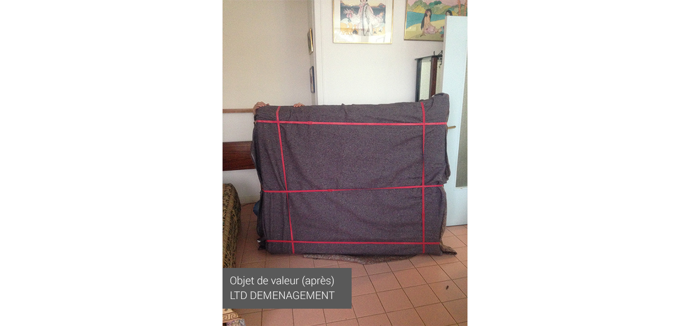 LTD DEMENAGEMENT